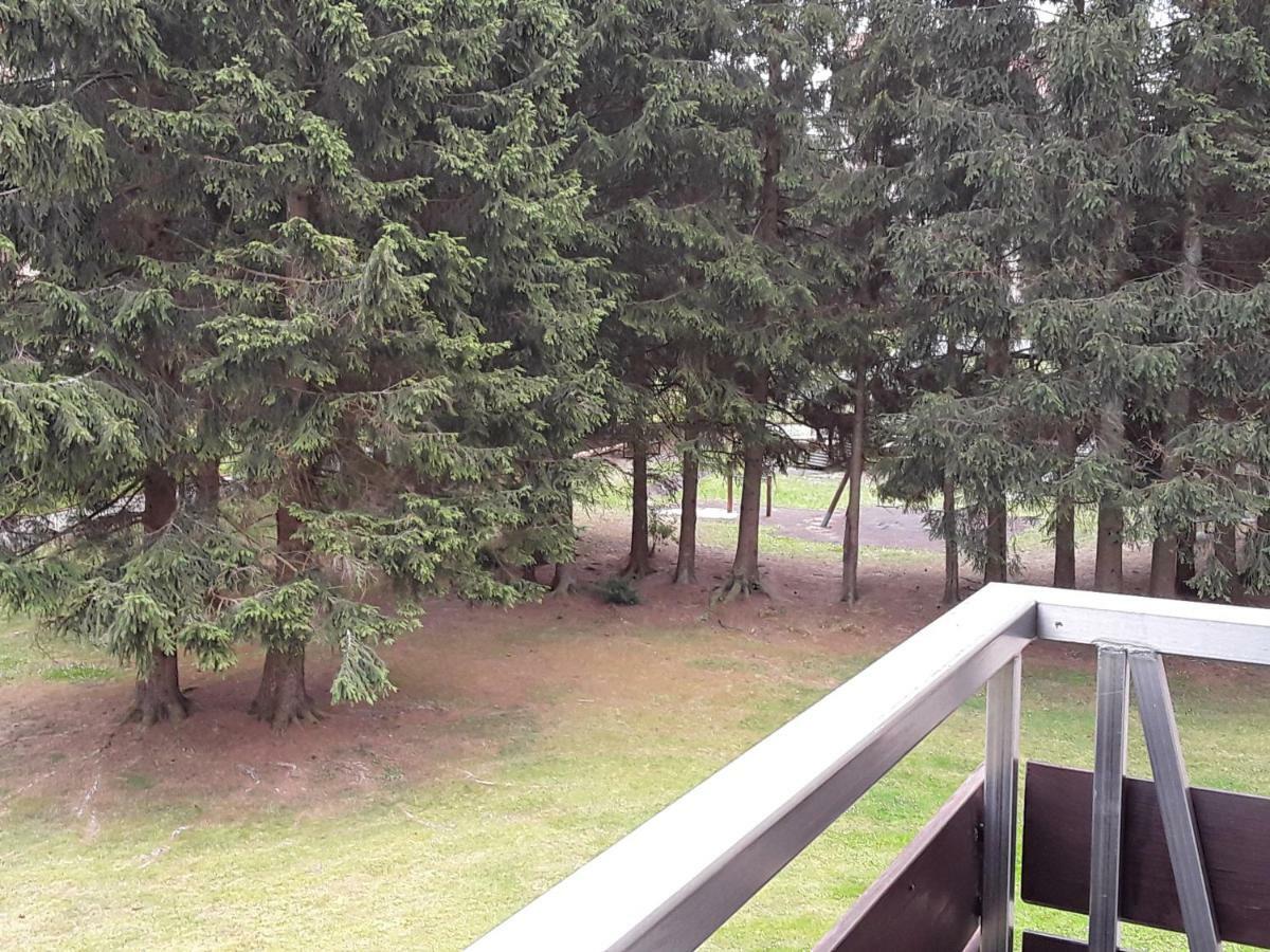 Fewo Therme Inkl Handtuecher Und Bettwaesche Altenau  Buitenkant foto