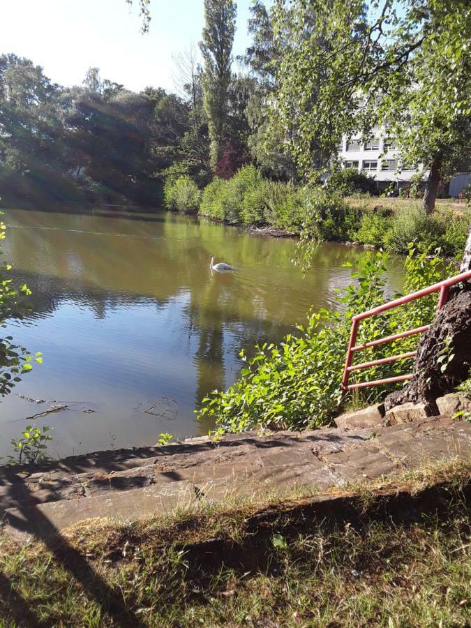 Fewo Therme Inkl Handtuecher Und Bettwaesche Altenau  Buitenkant foto